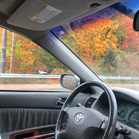 Meet your Posher, Gabriella - Picture 1 of 1